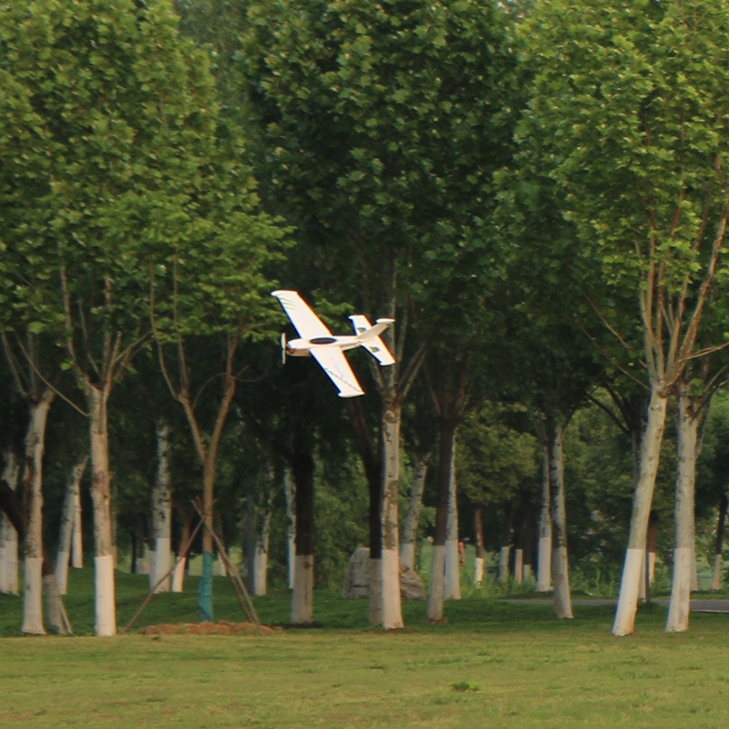 Skywalker Speed G Rc Fixed Fly - Model Kit Competition 评论和价格